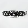 Accessories Q2 Dolce Studded Belt Black